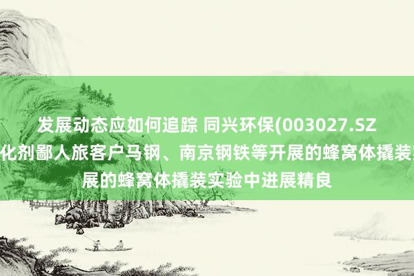 发展动态应如何追踪 同兴环保(003027.SZ)：第五代CO催化剂鄙人旅客户马钢、南京钢铁等开展的蜂窝体撬装实验中进展精良