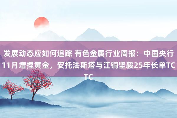 发展动态应如何追踪 有色金属行业周报：中国央行11月增捏黄金，安托法斯塔与江铜坚毅25年长单TC