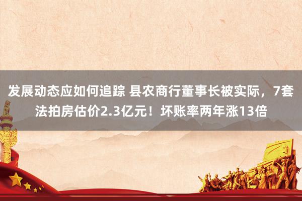 发展动态应如何追踪 县农商行董事长被实际，7套法拍房估价2.3亿元！坏账率两年涨13倍