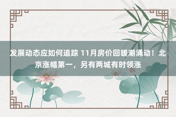 发展动态应如何追踪 11月房价回暖潮涌动！北京涨幅第一，另有两城有时领涨