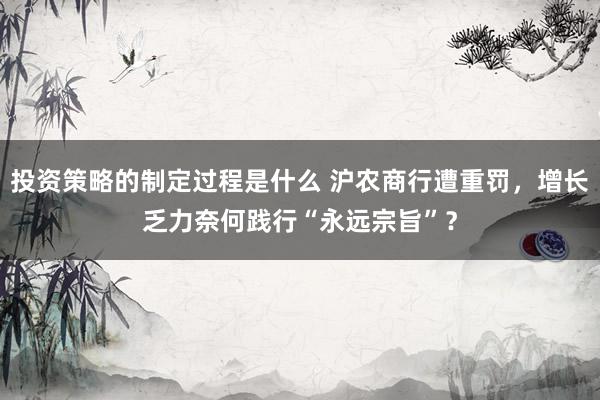 投资策略的制定过程是什么 沪农商行遭重罚，增长乏力奈何践行“永远宗旨”？