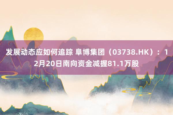 发展动态应如何追踪 阜博集团（03738.HK）：12月20日南向资金减握81.1万股