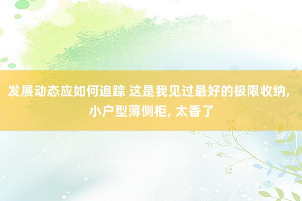 发展动态应如何追踪 这是我见过最好的极限收纳, 小户型薄侧柜, 太香了