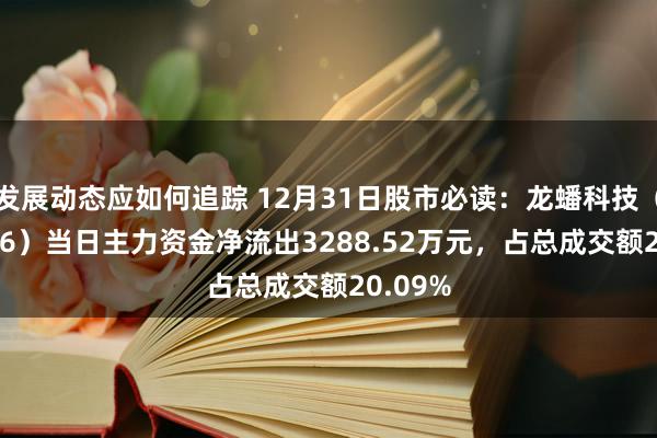 发展动态应如何追踪 12月31日股市必读：龙蟠科技（603906）当日主力资金净流出3288.52万元，占总成交额20.09%