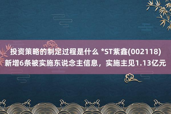 投资策略的制定过程是什么 *ST紫鑫(002118)新增6条被实施东说念主信息，实施主见1.13亿元