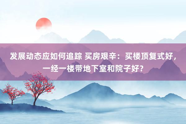 发展动态应如何追踪 买房艰辛：买楼顶复式好，一经一楼带地下室和院子好？