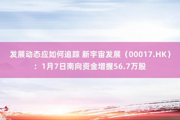 发展动态应如何追踪 新宇宙发展（00017.HK）：1月7日南向资金增握56.7万股