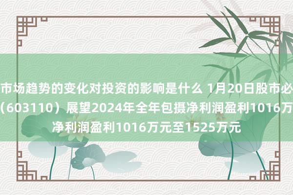 市场趋势的变化对投资的影响是什么 1月20日股市必读：东方材料（603110）展望2024年全年包摄净利润盈利1016万元至1525万元