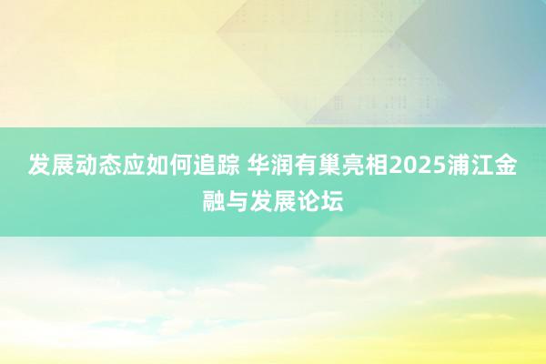 发展动态应如何追踪 华润有巢亮相2025浦江金融与发展论坛