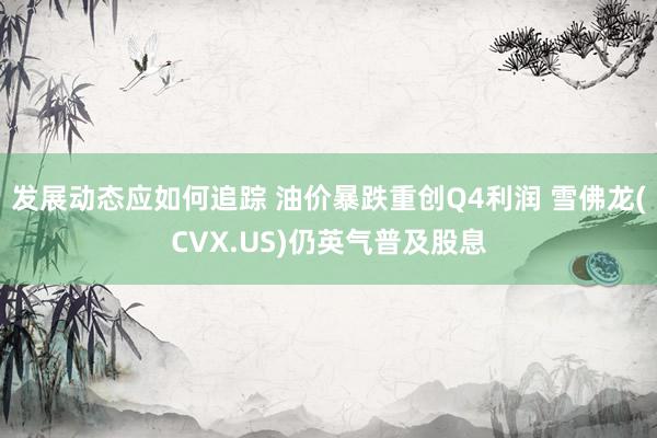 发展动态应如何追踪 油价暴跌重创Q4利润 雪佛龙(CVX.US)仍英气普及股息