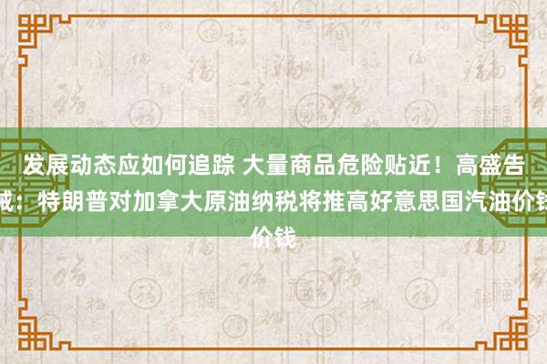 发展动态应如何追踪 大量商品危险贴近！高盛告诫：特朗普对加拿大原油纳税将推高好意思国汽油价钱