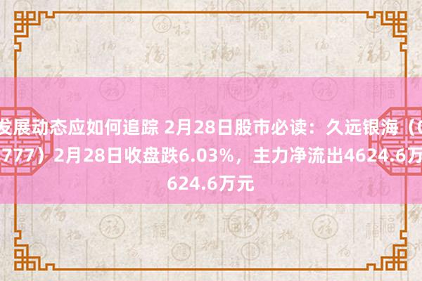 发展动态应如何追踪 2月28日股市必读：久远银海（002777）2月28日收盘跌6.03%，主力净流出4624.6万元