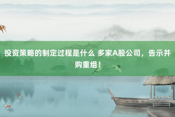 投资策略的制定过程是什么 多家A股公司，告示并购重组！