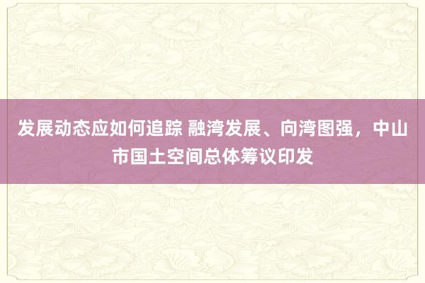 发展动态应如何追踪 融湾发展、向湾图强，中山市国土空间总体筹议印发