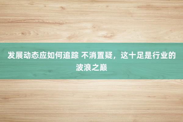 发展动态应如何追踪 不消置疑，这十足是行业的波浪之巅