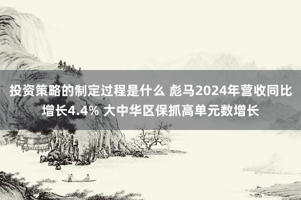 投资策略的制定过程是什么 彪马2024年营收同比增长4.4% 大中华区保抓高单元数增长