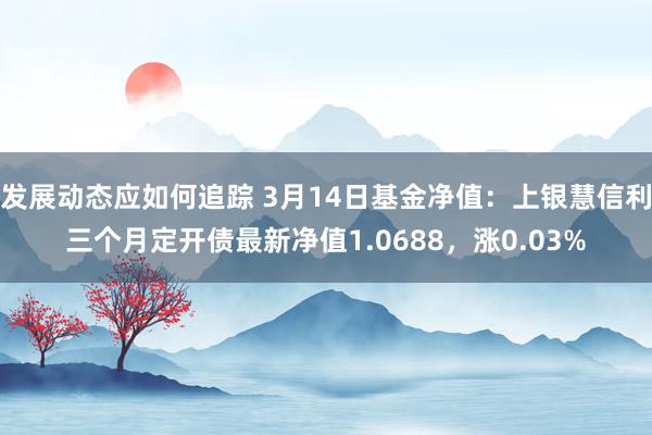 发展动态应如何追踪 3月14日基金净值：上银慧信利三个月定开债最新净值1.0688，涨0.03%