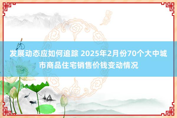 发展动态应如何追踪 2025年2月份70个大中城市商品住宅销售价钱变动情况